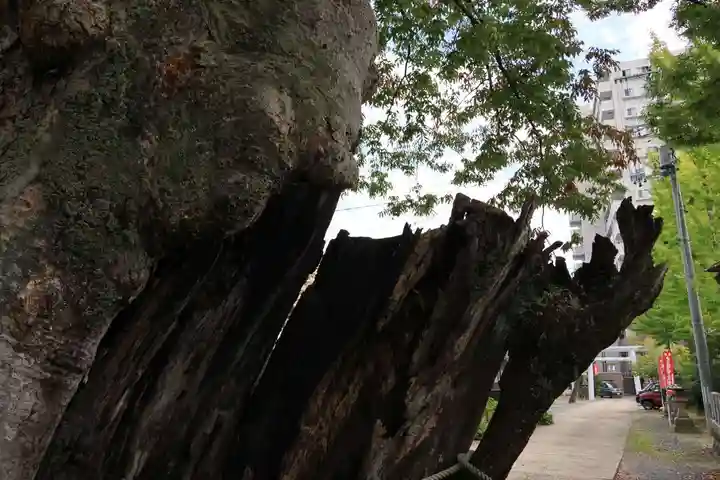 阿邪訶根神社の鳥居