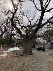 相馬神社(北海道)