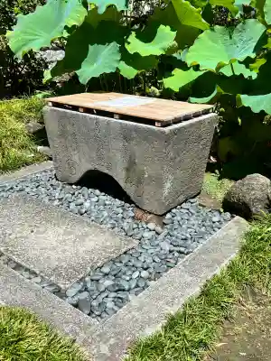 安養院　(田代寺）(神奈川県)