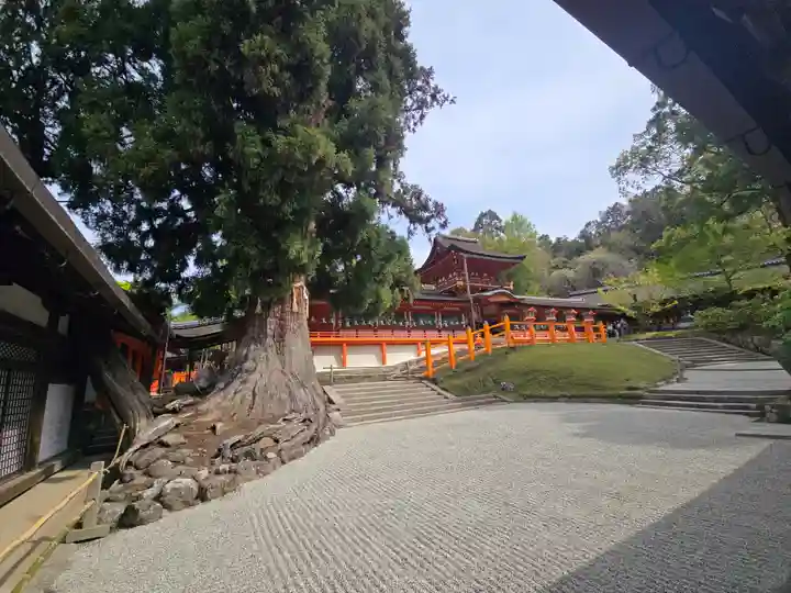 春日大社(奈良県)