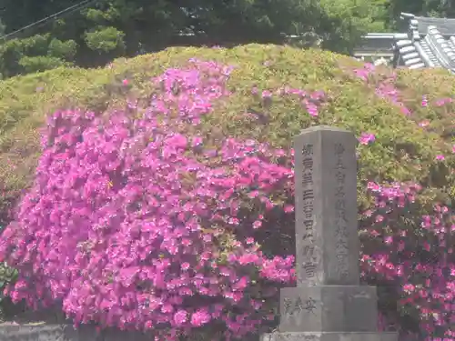安養院　(田代寺）の自然