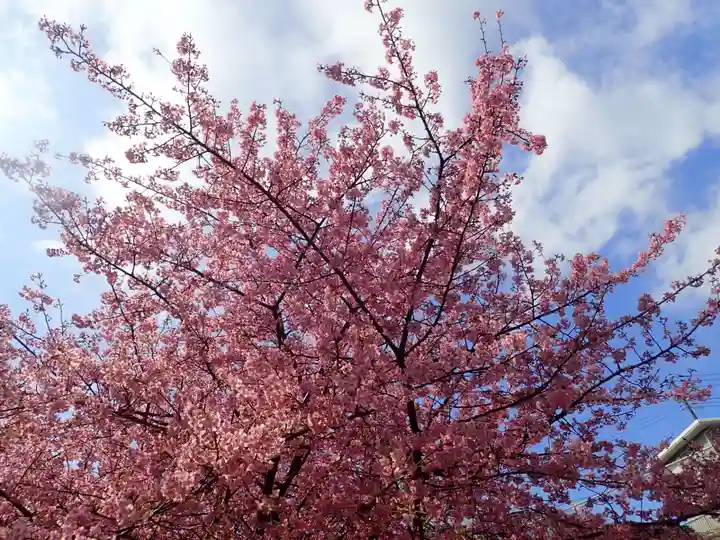 海南神社(神奈川県)