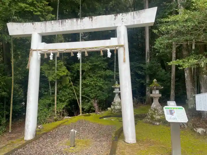 大森神社の{uncategorized: "未分類", other: "その他", undefined: "問題あり", building: "その他建物", grave: "お墓", sacred_gate: "鳥居", guardian: "狛犬", statue: "像", buddha: "仏像", history: "歴史", nature: "自然", garden: "庭園", animal: "動物", pagoda: "塔", temizu: "手水舎", mountain_gate: "山門・神門", sanctuary: "本殿・本堂", subordinate: "末社・摂社", art: "芸術", scenery: "景色", jizo: "地蔵", ema: "絵馬", goshuin: "御朱印", omikuji: "おみくじ", items: "授与品その他", amulet: "お守り", goshuincho: "御朱印帳", eats: "食事", festival: "お祭り", votive_dance: "神楽", shichigosan: "七五三参", wedding: "結婚式", experience: "体験その他", initially: "初詣", around: "周辺", anti_infection: "感染症対策"}