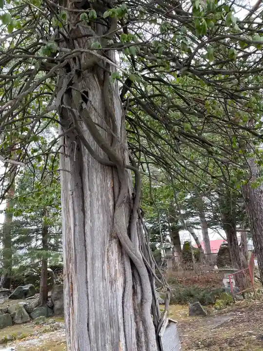 山部神社の御朱印