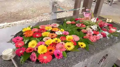 長沼八幡宮(栃木県)