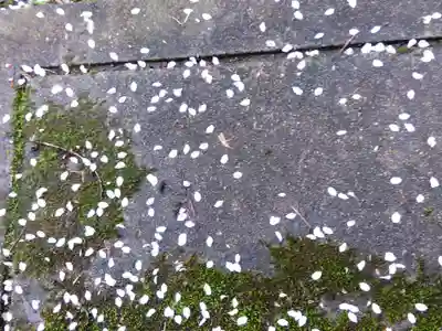 城福寺(福井県)