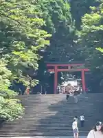 霧島神宮(鹿児島県)