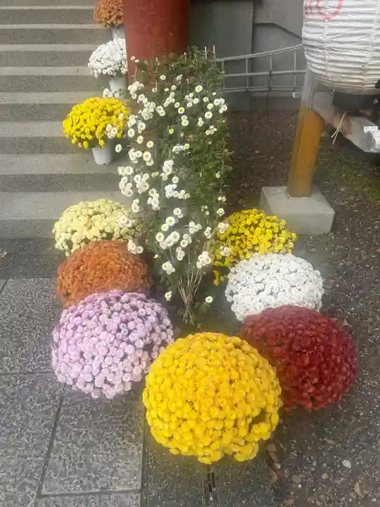 亀戸天神社(東京都)