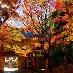 目の霊山　油山寺(静岡県)