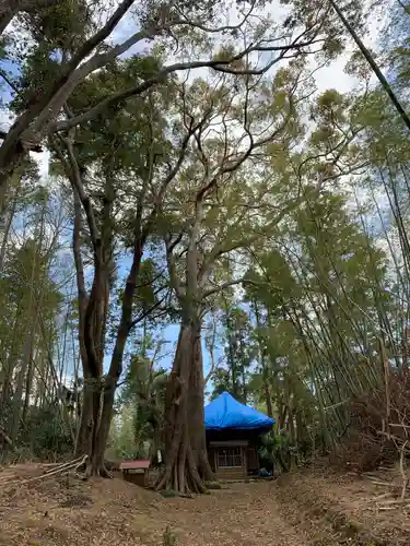 稲荷神社の自然