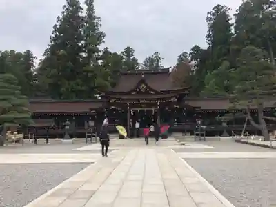 多賀大社の本殿・本堂