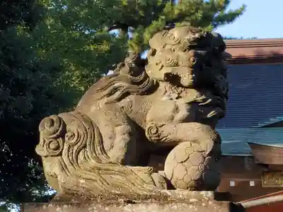 天沼八幡神社の狛犬