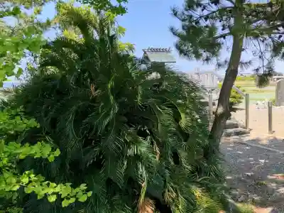 西対海地神社の{uncategorized: "未分類", other: "その他", undefined: "問題あり", building: "その他建物", grave: "お墓", sacred_gate: "鳥居", guardian: "狛犬", statue: "像", buddha: "仏像", history: "歴史", nature: "自然", garden: "庭園", animal: "動物", pagoda: "塔", temizu: "手水舎", mountain_gate: "山門・神門", sanctuary: "本殿・本堂", subordinate: "末社・摂社", art: "芸術", scenery: "景色", jizo: "地蔵", ema: "絵馬", goshuin: "御朱印", omikuji: "おみくじ", items: "授与品その他", amulet: "お守り", goshuincho: "御朱印帳", eats: "食事", festival: "お祭り", votive_dance: "神楽", shichigosan: "七五三参", wedding: "結婚式", experience: "体験その他", initially: "初詣", around: "周辺", anti_infection: "感染症対策"}