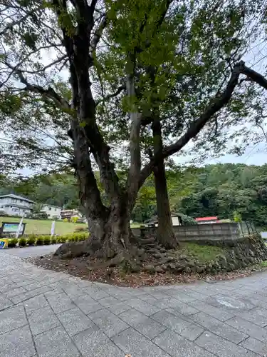 諏訪大社上社前宮(長野県)