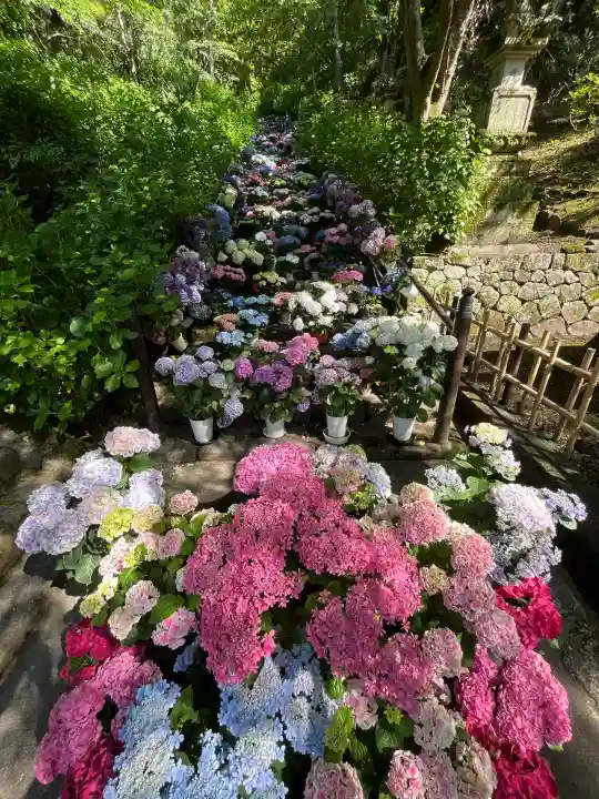 長谷寺(奈良県)