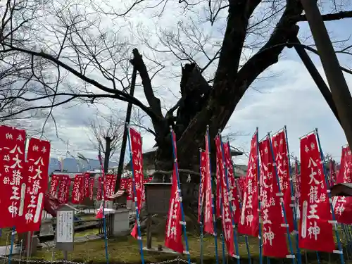 秩父今宮神社(埼玉県)
