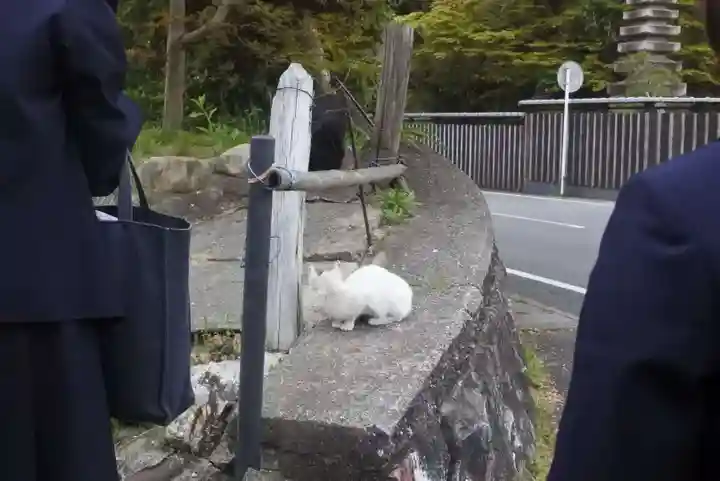 浄瑠璃寺の動物
