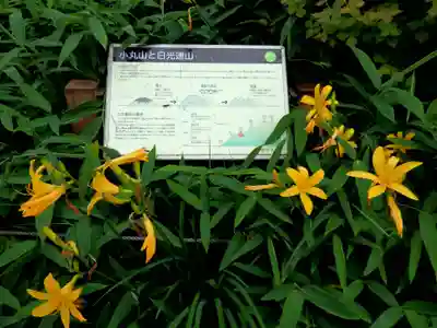 赤薙山神社(栃木県)