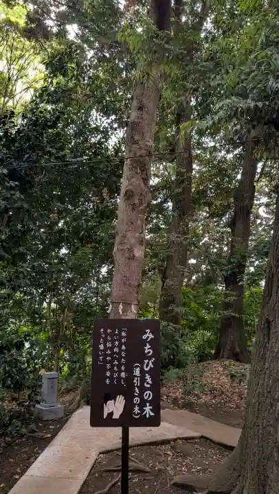 鶴嶺八幡宮の{uncategorized: "未分類", other: "その他", undefined: "問題あり", building: "その他建物", grave: "お墓", sacred_gate: "鳥居", guardian: "狛犬", statue: "像", buddha: "仏像", history: "歴史", nature: "自然", garden: "庭園", animal: "動物", pagoda: "塔", temizu: "手水舎", mountain_gate: "山門・神門", sanctuary: "本殿・本堂", subordinate: "末社・摂社", art: "芸術", scenery: "景色", jizo: "地蔵", ema: "絵馬", goshuin: "御朱印", omikuji: "おみくじ", items: "授与品その他", amulet: "お守り", goshuincho: "御朱印帳", eats: "食事", festival: "お祭り", votive_dance: "神楽", shichigosan: "七五三参", wedding: "結婚式", experience: "体験その他", initially: "初詣", around: "周辺", anti_infection: "感染症対策"}