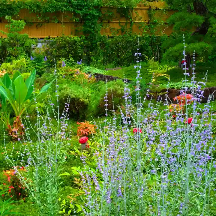 寿量山 速成寺(奈良県)