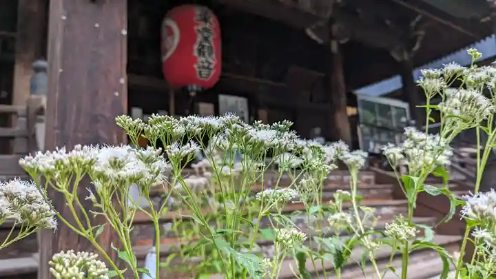 行願寺(革堂)(京都府)