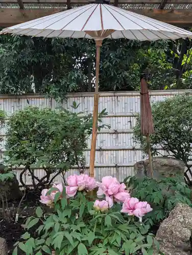 鶴岡八幡宮の庭園