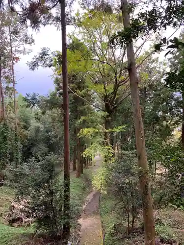 北野神社の自然