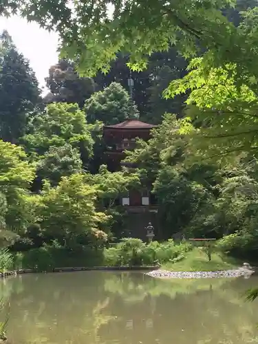 浄瑠璃寺の庭園