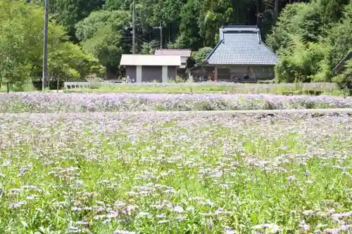 龍宝寺の庭園