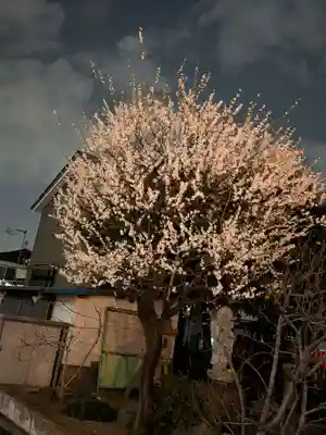 成願寺(東京都)