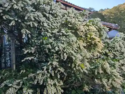 金熊寺(大阪府)