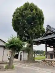 観音寺(愛知県)