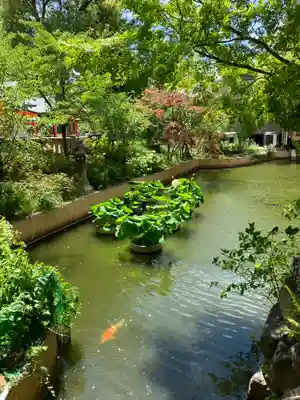 生田神社(兵庫県)