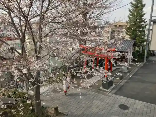 赤城神社(東京都)