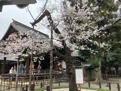 靖國神社(東京都)