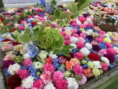 住吉神社の手水舎