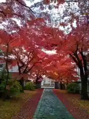 正樂寺(宮城県)