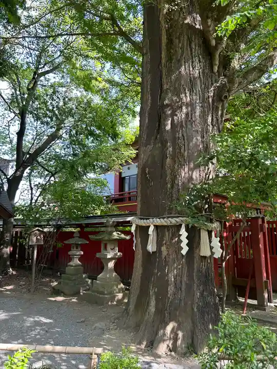 秩父神社(埼玉県)