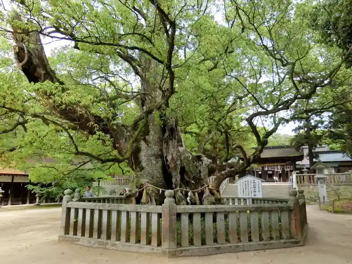 大山祇神社のその他建物