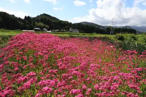 高司神社〜むすびの神の鎮まる社〜の周辺