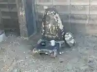 延命寺の{uncategorized: "未分類", other: "その他", undefined: "問題あり", building: "その他建物", grave: "お墓", sacred_gate: "鳥居", guardian: "狛犬", statue: "像", buddha: "仏像", history: "歴史", nature: "自然", garden: "庭園", animal: "動物", pagoda: "塔", temizu: "手水舎", mountain_gate: "山門・神門", sanctuary: "本殿・本堂", subordinate: "末社・摂社", art: "芸術", scenery: "景色", jizo: "地蔵", ema: "絵馬", goshuin: "御朱印", omikuji: "おみくじ", items: "授与品その他", amulet: "お守り", goshuincho: "御朱印帳", eats: "食事", festival: "お祭り", votive_dance: "神楽", shichigosan: "七五三参", wedding: "結婚式", experience: "体験その他", initially: "初詣", around: "周辺", anti_infection: "感染症対策"}