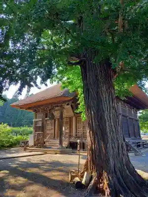 恵隆寺(立木千手観音)のその他建物