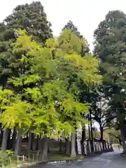 糠部神社(青森県)