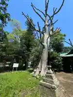 酒門神社の{uncategorized: "未分類", other: "その他", undefined: "問題あり", building: "その他建物", grave: "お墓", sacred_gate: "鳥居", guardian: "狛犬", statue: "像", buddha: "仏像", history: "歴史", nature: "自然", garden: "庭園", animal: "動物", pagoda: "塔", temizu: "手水舎", mountain_gate: "山門・神門", sanctuary: "本殿・本堂", subordinate: "末社・摂社", art: "芸術", scenery: "景色", jizo: "地蔵", ema: "絵馬", goshuin: "御朱印", omikuji: "おみくじ", items: "授与品その他", amulet: "お守り", goshuincho: "御朱印帳", eats: "食事", festival: "お祭り", votive_dance: "神楽", shichigosan: "七五三参", wedding: "結婚式", experience: "体験その他", initially: "初詣", around: "周辺", anti_infection: "感染症対策"}