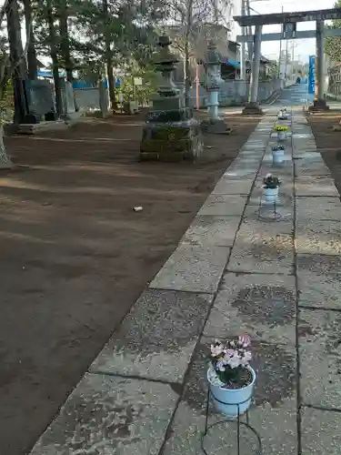 伏木香取神社の自然