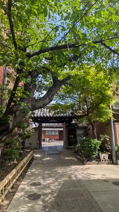 墨染寺(桜寺)(京都府)