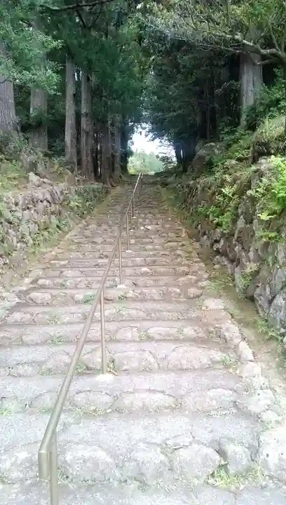 阿弥陀寺の自然