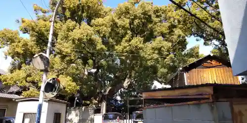 三島神社(大阪府)
