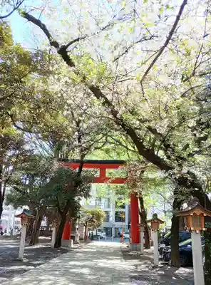 花園神社の鳥居