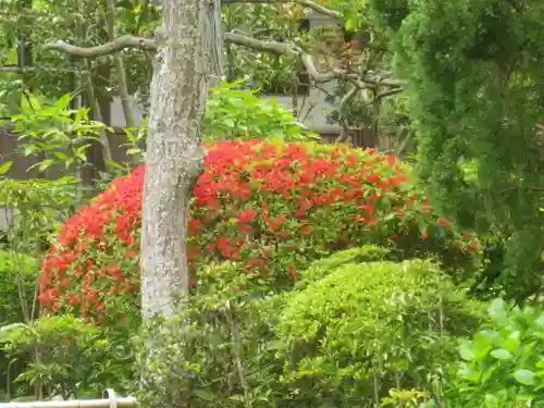 寿福寺の景色